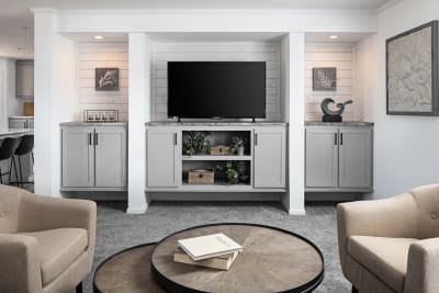 Champion Homes Athens - Odyssey XL 3256 entertainment center